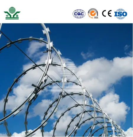 Barb Wire Fence Roll China Wholesalers 300mm 450mm 730mm Diameter PVC Coated Barbed Wire Mesh Used for Metal Security Fences