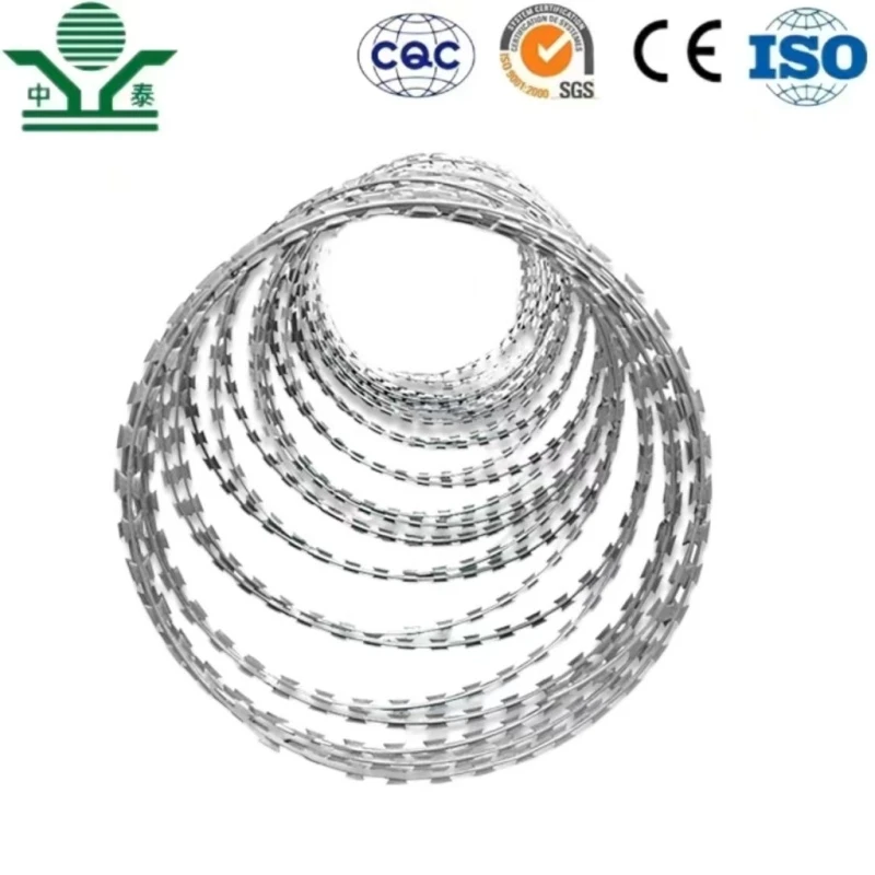 Hot Dipped Galvanized BTO-22 BTO-30 CBT-65 Double Strand Barbed Wire